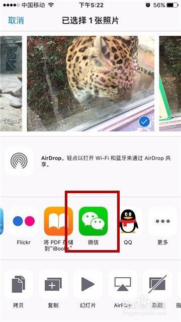 iPhone手机怎么在相册中直接发图片到微信