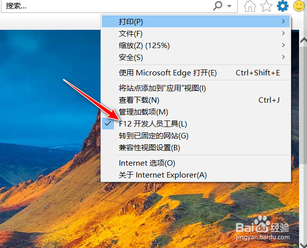 IE11浏览器开发者工具如何根据内容类型过滤请求