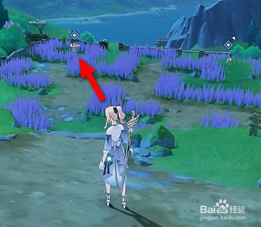 原神枫丹塔塞斯杂烩怎么获取