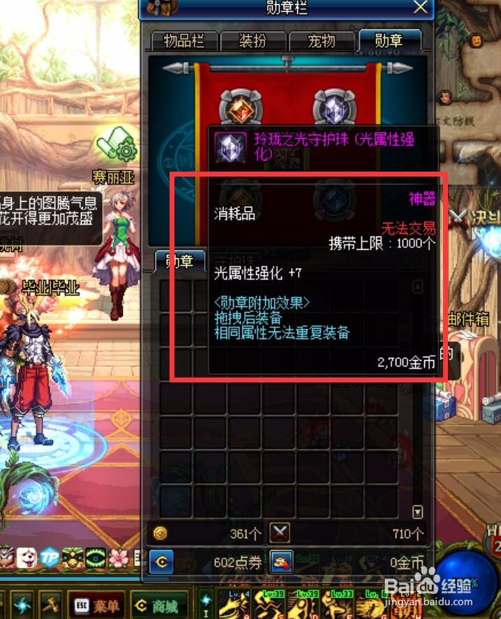 dnf武极勋章及守护珠选择攻略介绍。