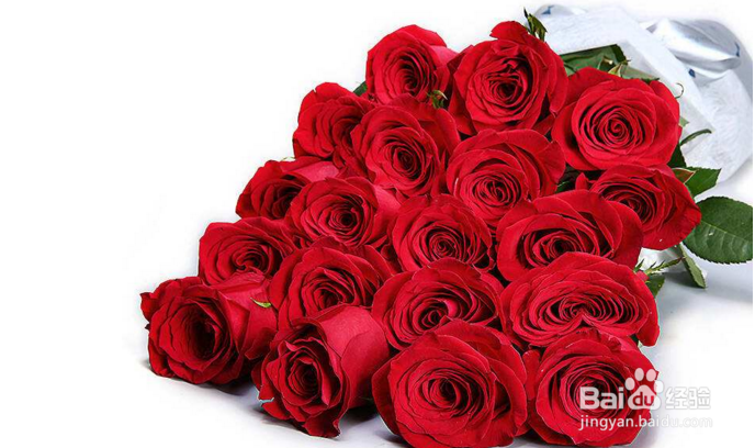几朵玫瑰表示的含义
