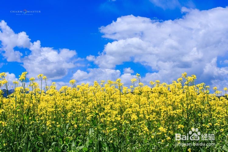 怎么体现一个人的教养