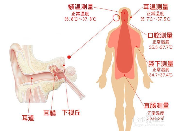 新生儿的护理常识