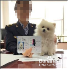 飞机托运宠物需要什么手续