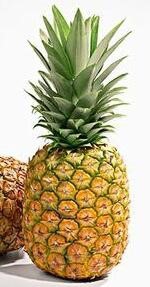 夏天可以吃什么水果