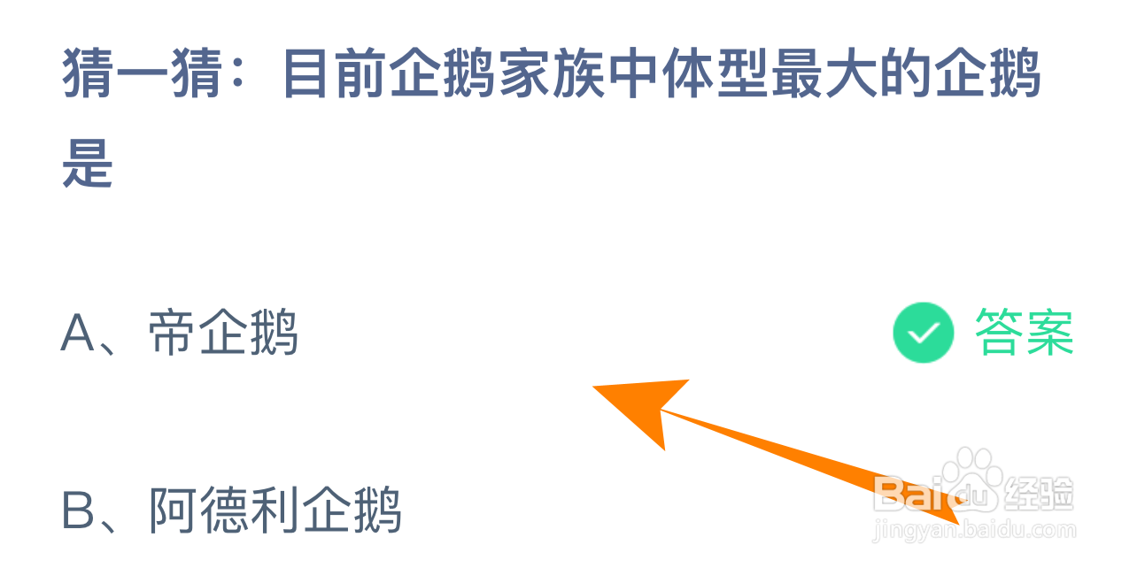 蚂蚁庄园答案企鹅家族中体型最大的企鹅是