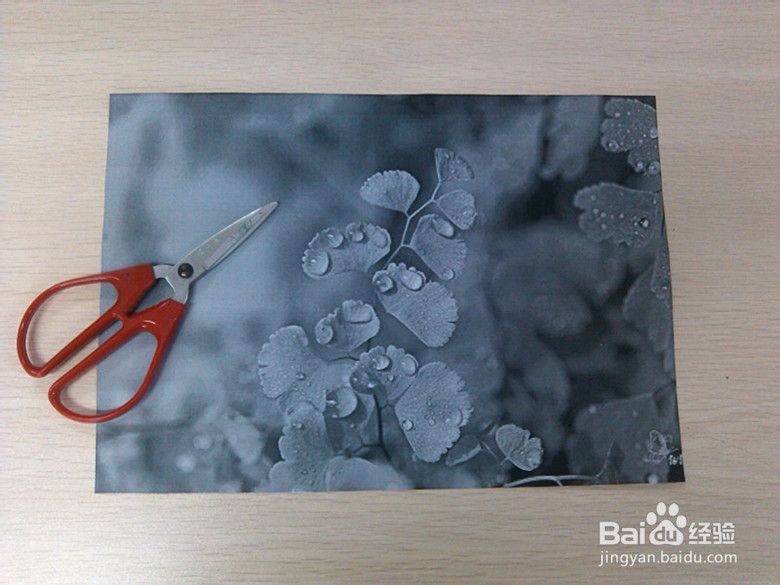 折纸攻略之多彩玫瑰