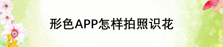形色APP怎样拍照识花