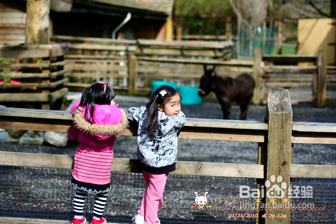 拾海的孩子&亲亲小动物(组图)