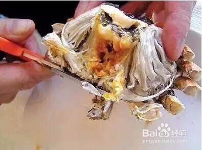 秋天到了,如何正确地吃大闸蟹?