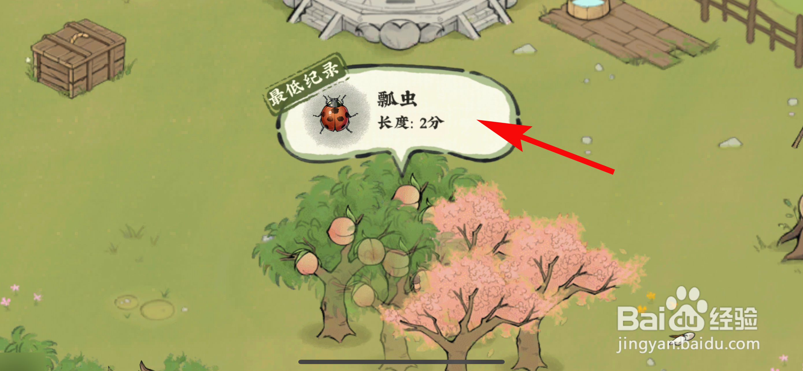 仙山小农怎么捕捉瓢虫