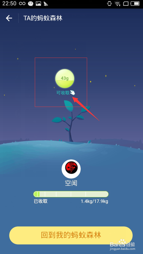 支付宝的蚂蚁森林 种树怎么玩