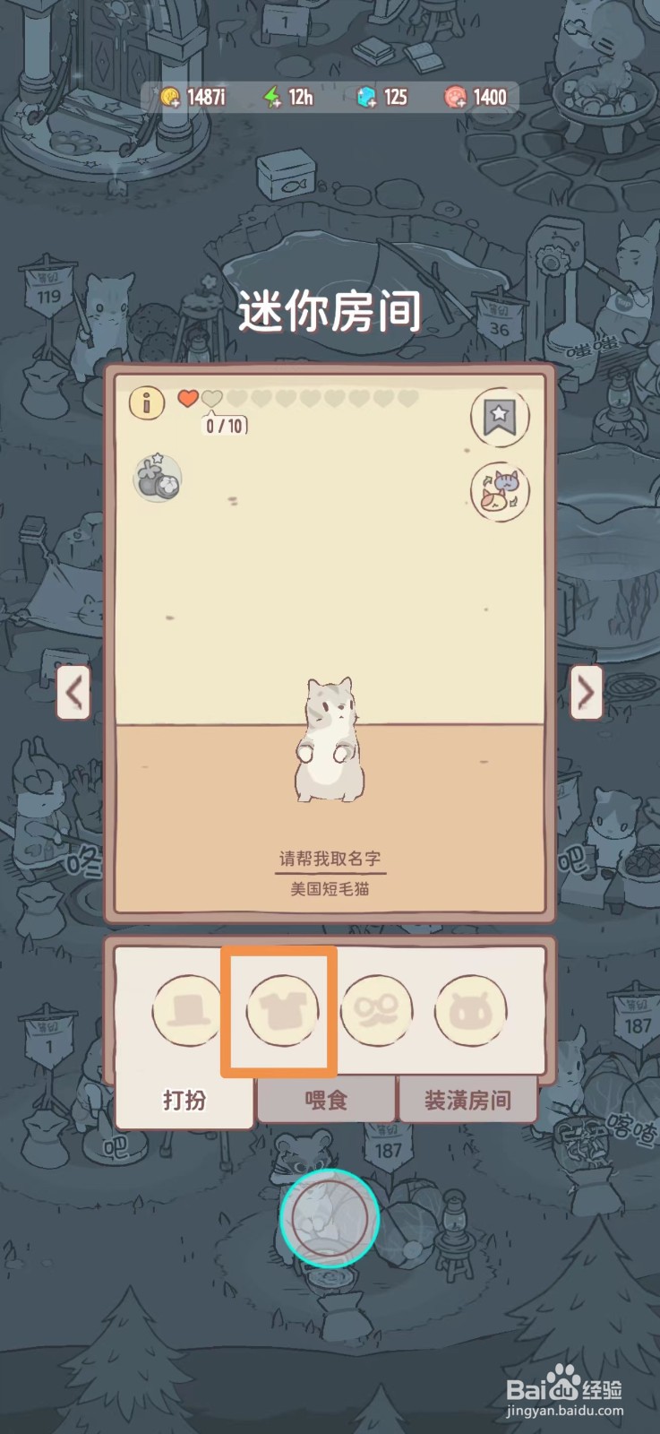 猫咪和汤怎么给猫咪穿毛衣和牛仔裤