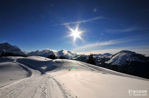 怎样选择春节旅游去瑞士滑雪的目的地