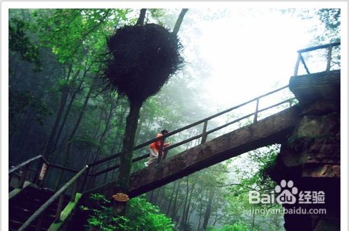 湖南张家界自驾游攻略