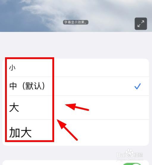 iPhone14如何设置样式大小为中等大小