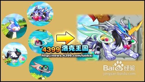 洛克王国世界BOSS大挑战之五灵神兽