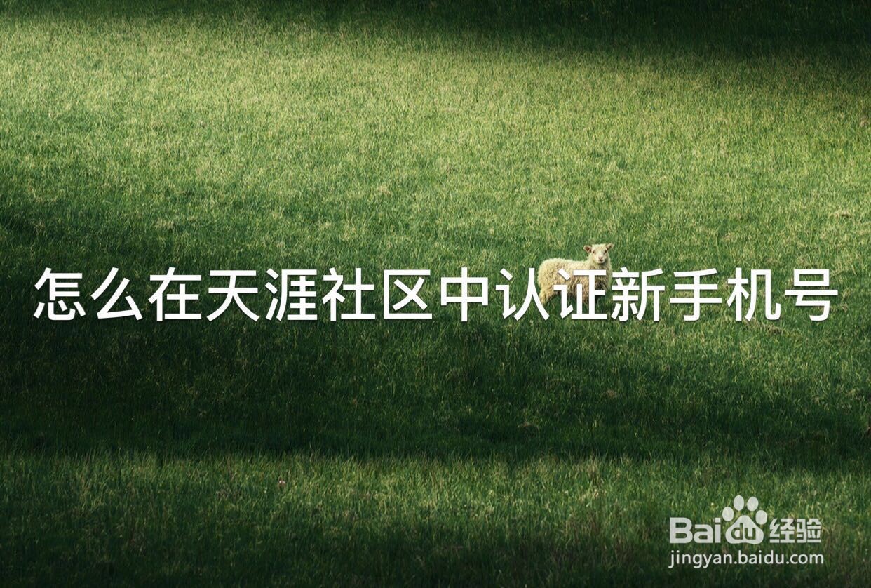 怎么在天涯社区中认证新手机号