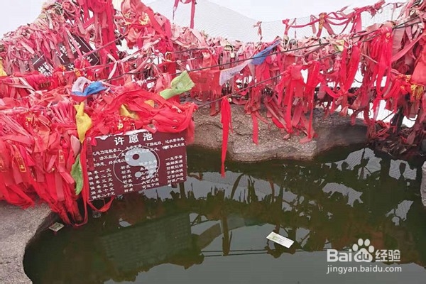 四川广安出发陕西西安（华山）经济四日游