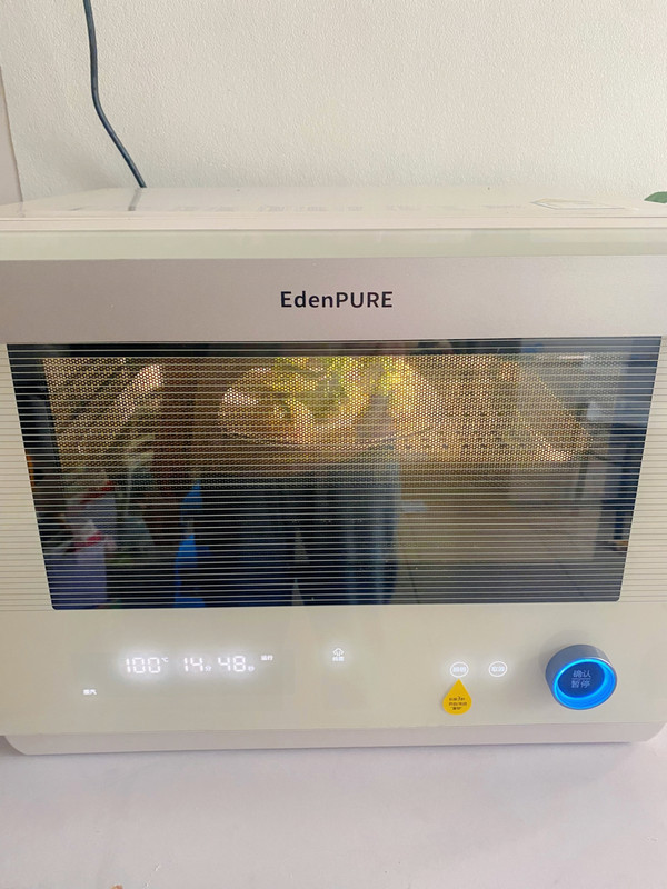 福气满满白菜福袋