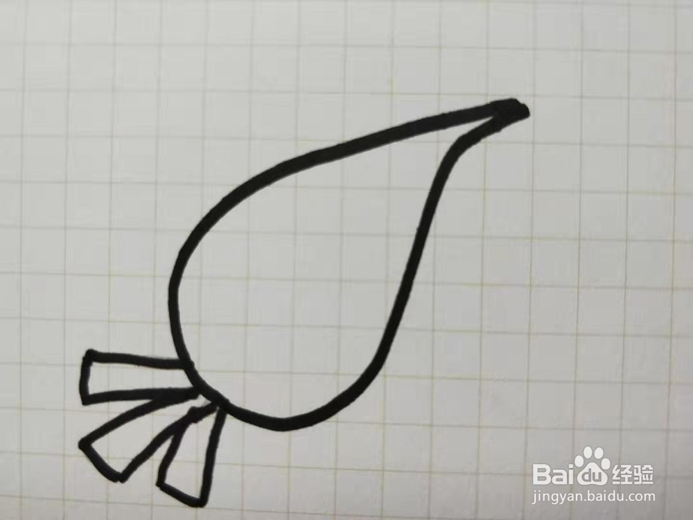 如何画胡萝卜简笔画