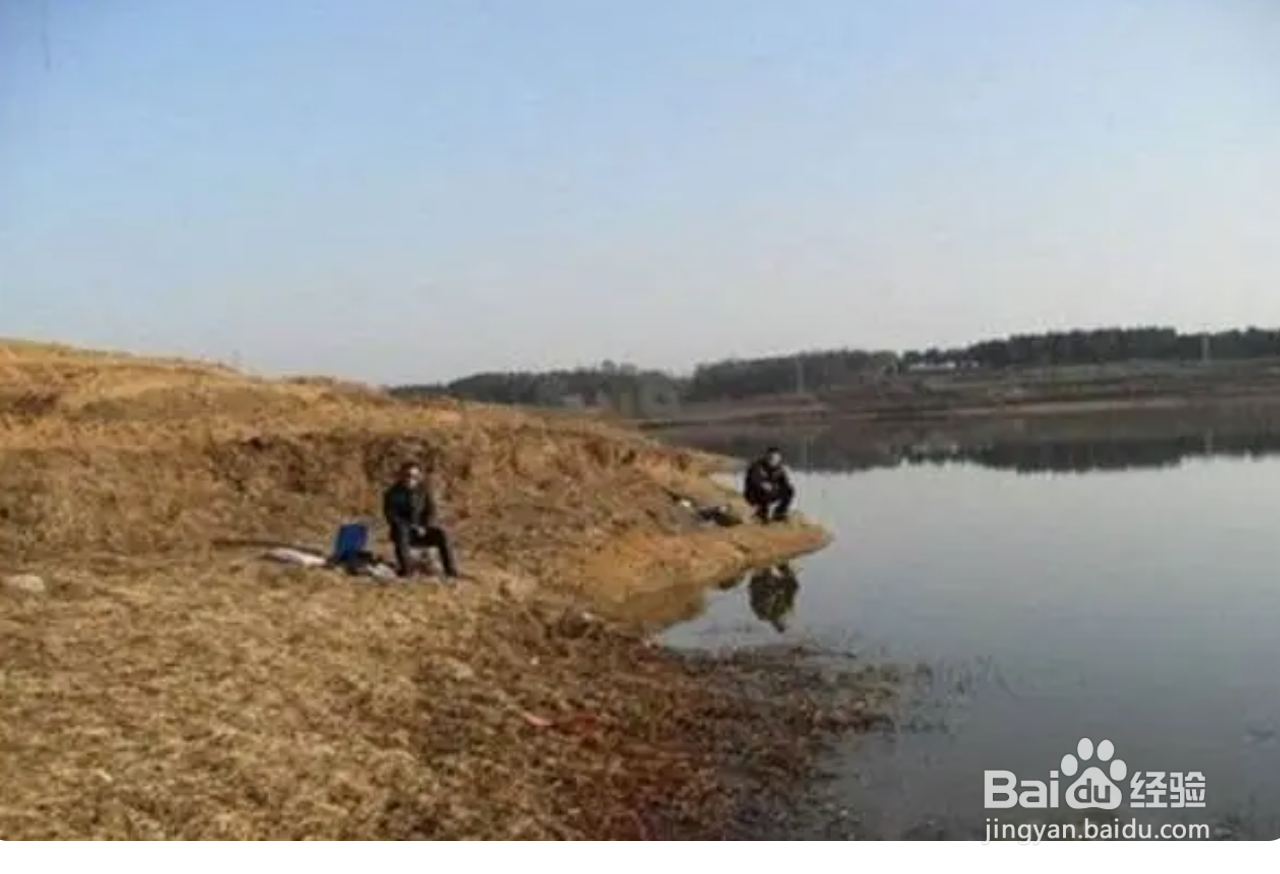 冬天钓鱼怎么钩