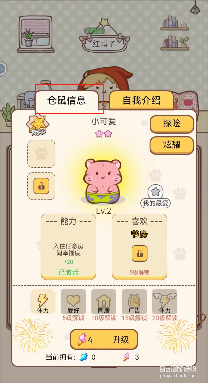 我给仓鼠盖别墅如何查看小可爱仓鼠的仓鼠信息