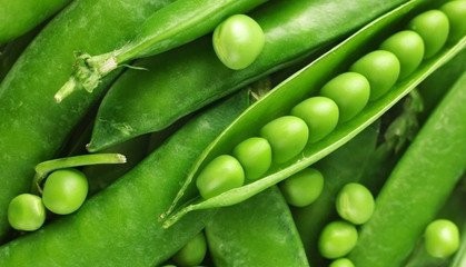 扁豆的种植方法