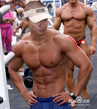 怎样练出完美肌肉：[8]小臂肌肉