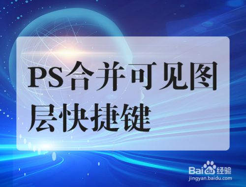 ps合并可见图层快捷键