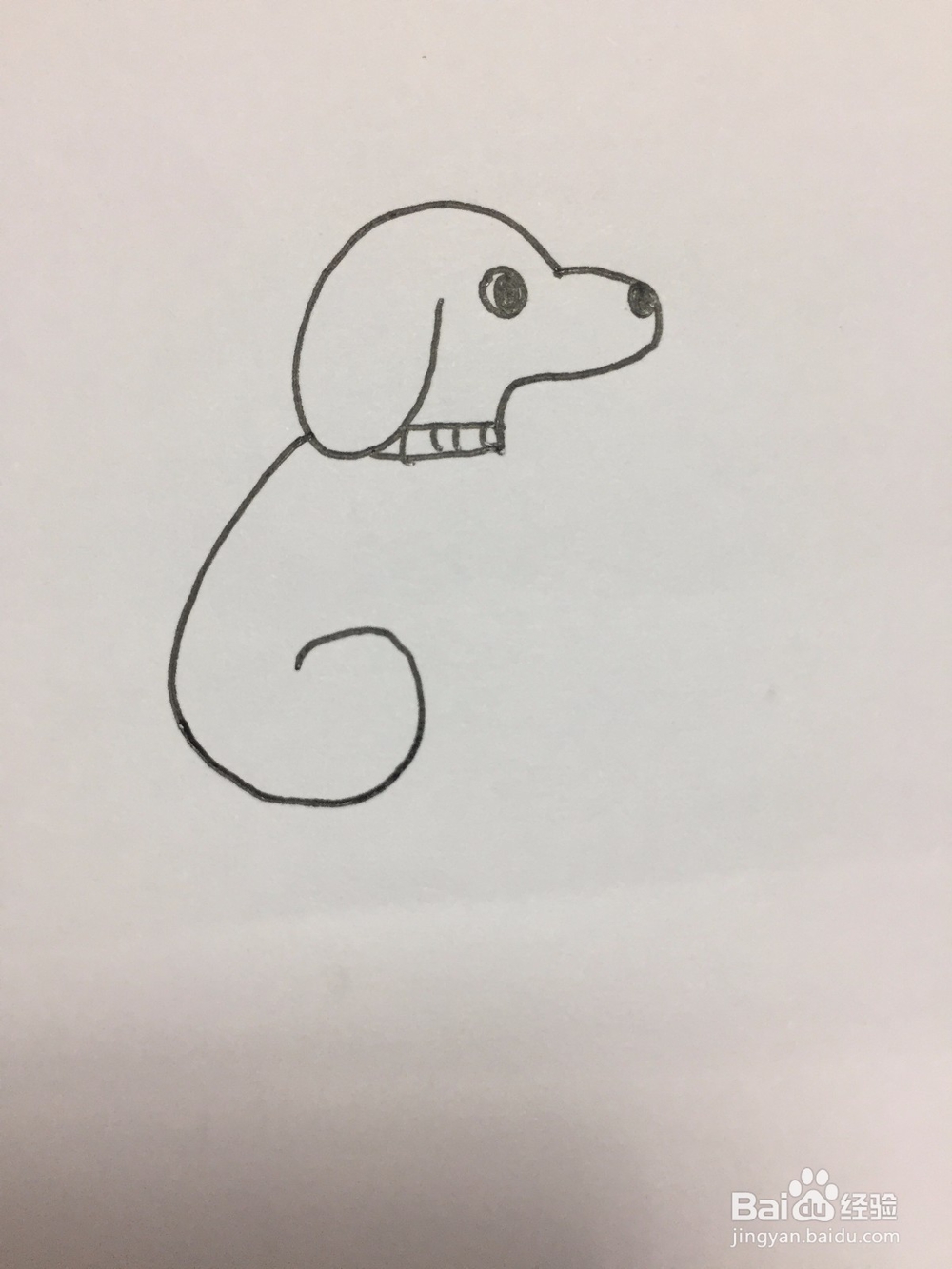 狗狗的简笔画画法