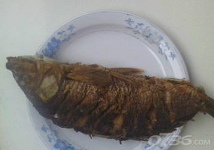 红烧鱼的额做法