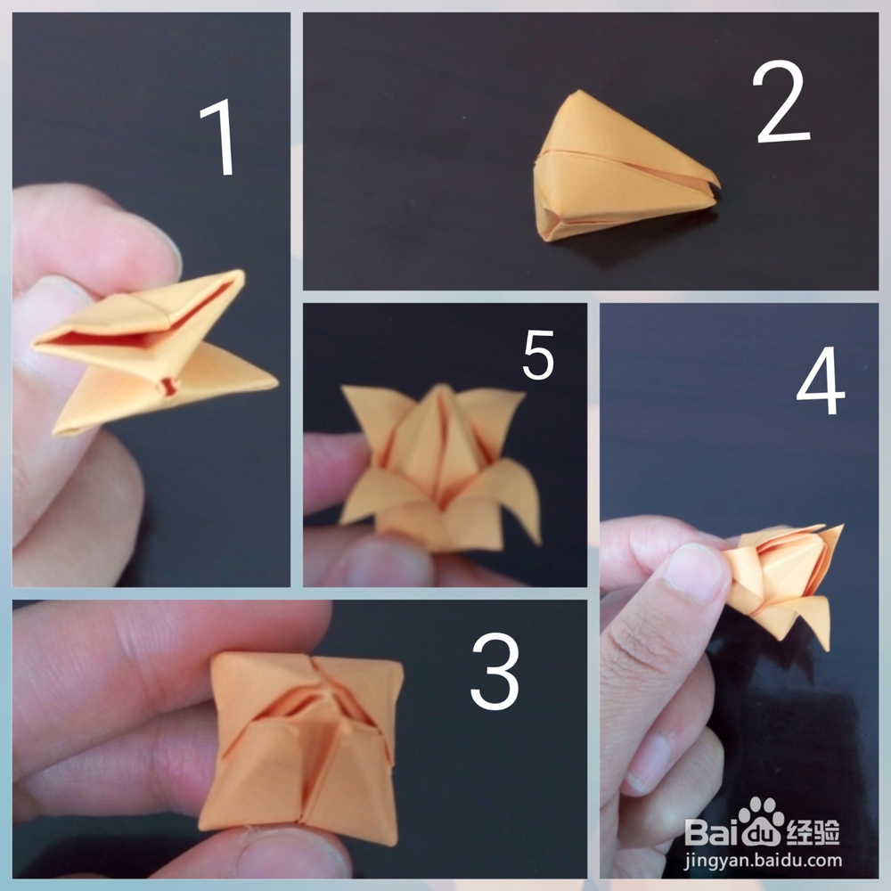 如何折叠郁金香