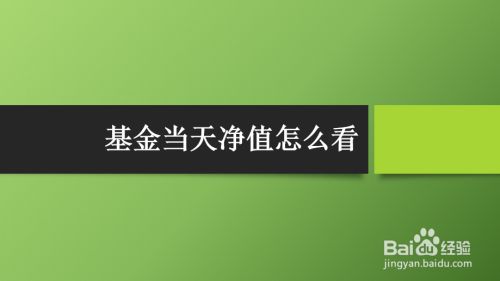 基金当天净值怎么看