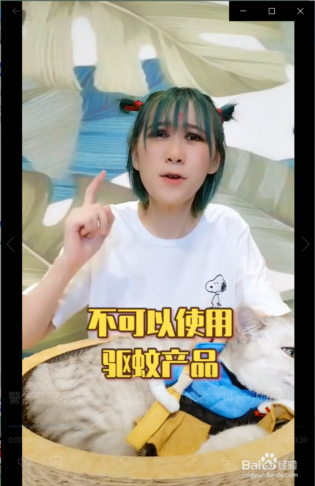 夏天养猫的家庭需要注意什么
