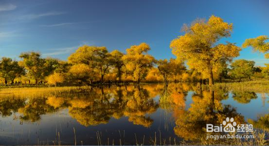 额济纳旅游游玩攻略