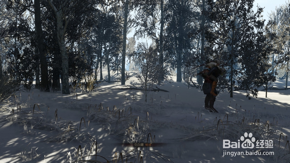 巫师3 结束是另一个开始 任务攻略