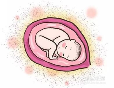 妊娠期高血压怎么办——小武生活