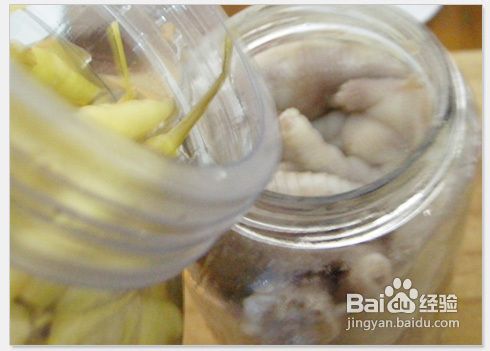 泡椒凤爪怎么弄