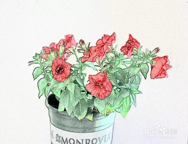 想开始读书,怎么读呢