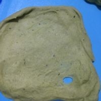 如何制作帕尼尼