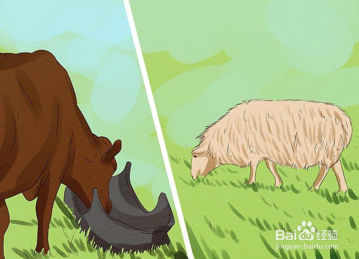 如何避免疯牛病