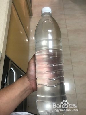 简易版竹荪椰子鸡
