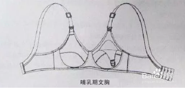产后哺乳文胸怎么选择 有必要穿吗
