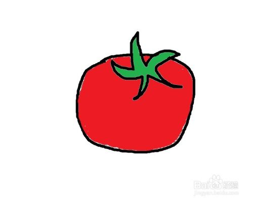 如何画一个卡通番茄插图