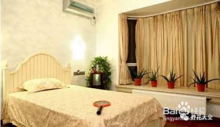 这几个夏季养花小妙招,我只偷偷告诉你!