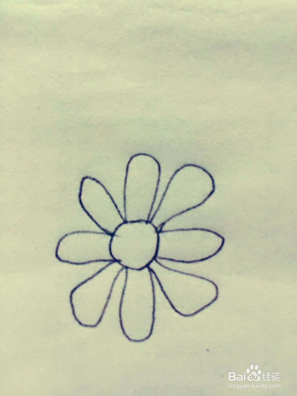 绘画系列之教你如何画简易菊花