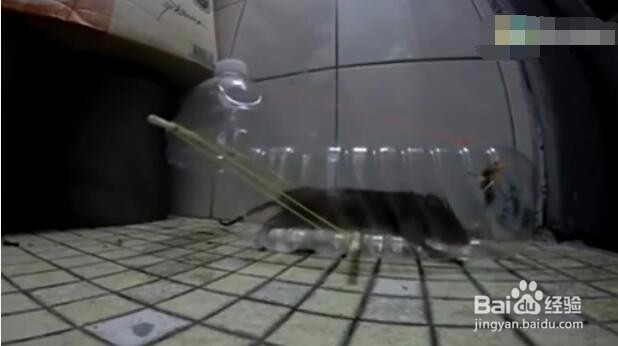 如何自己制作捕鼠器