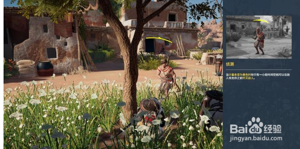 刺客信条绿洲任务解析