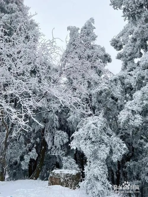 南岳衡山看雾凇攻略